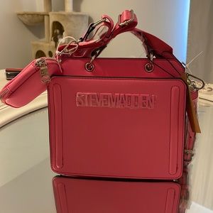 Barbie Pink Viral TikTok Steve Madden Purse